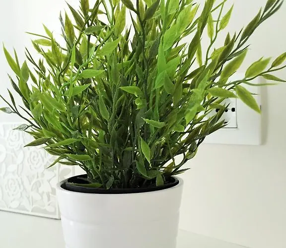 Profumo D'amare Polignano a Mare